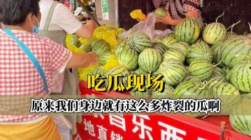 吃瓜炸裂 潜规则全书阅读,吃瓜炸裂背后的权力游戏