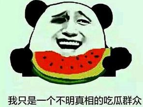 朝阳吃瓜群众一枚的微博,揭秘微博背后的热点风云