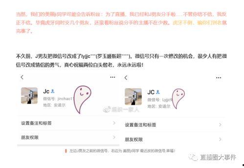 黑料.独家爆料在线观看免费更新时间,揭秘幕后真相，免费在线观看，每日更新时间揭晓